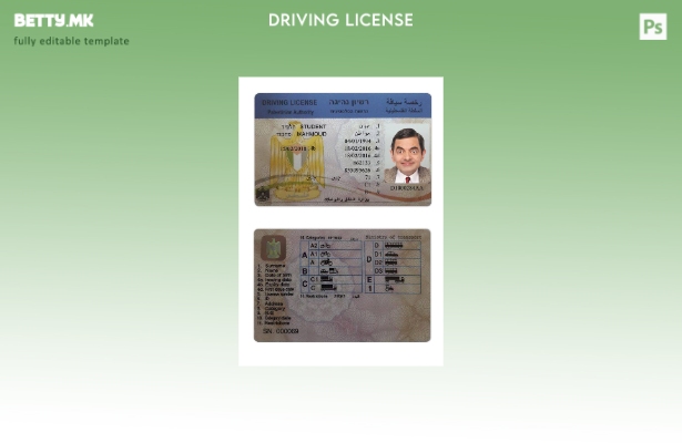 Шаблон за возачка дозвола од Палестина во модерен стил